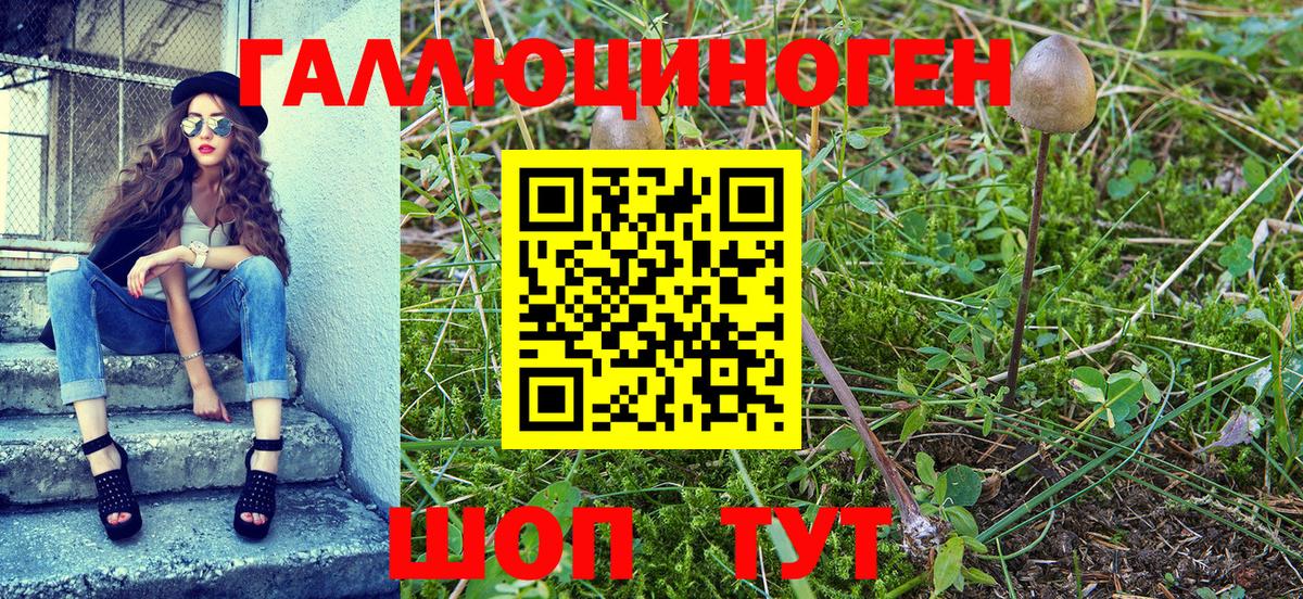 Галлюциногенные грибы Psilocybe Кунгур