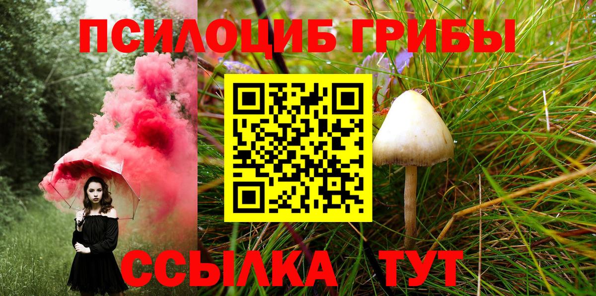 Галлюциногенные грибы Cubensis  Галлюциногенные грибы MAGIC MUSHROOMS  Кунгур  Вход с VPN 